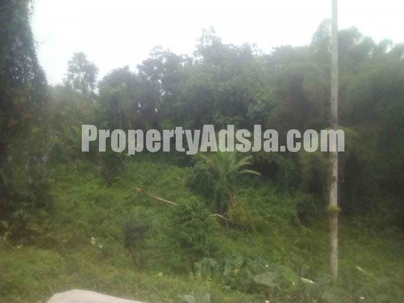 Residential lot For Sale in Westmoreland, Westmoreland Jamaica