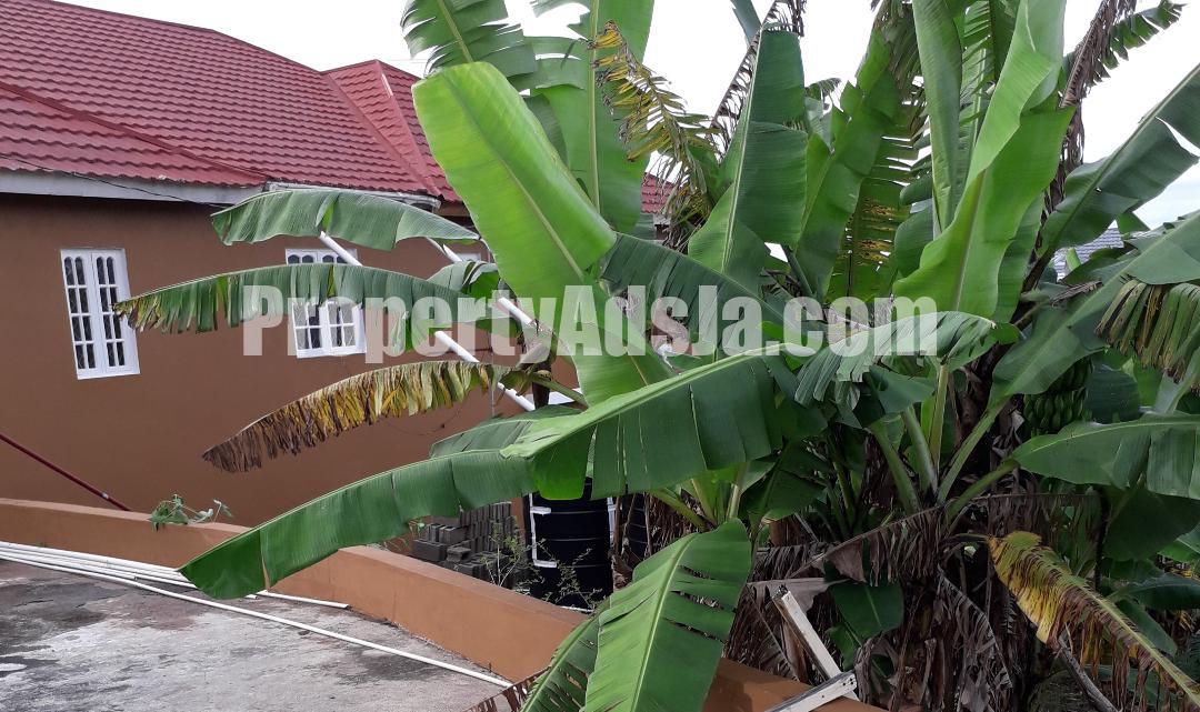 Apartment For Rent in May Pen, Clarendon Jamaica
