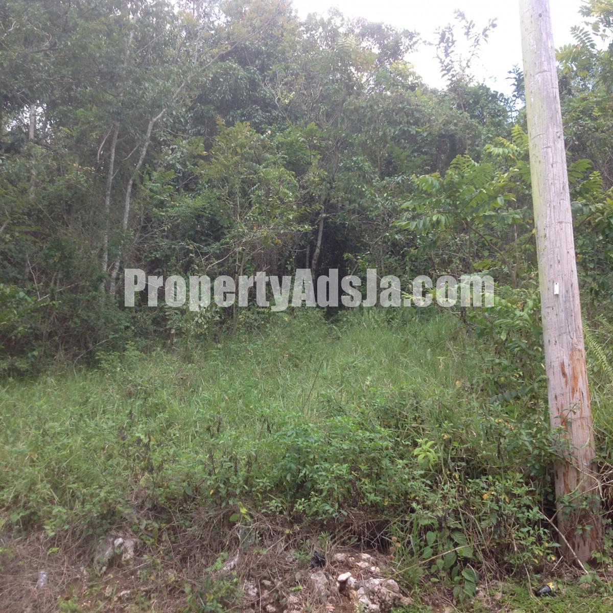 Residential lot For Sale in Mile Gully, Manchester Jamaica