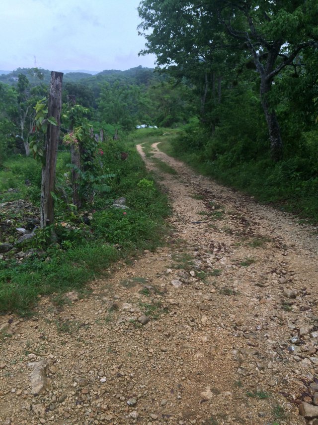 Residential lot For Sale in Balaclava, St. Elizabeth Jamaica