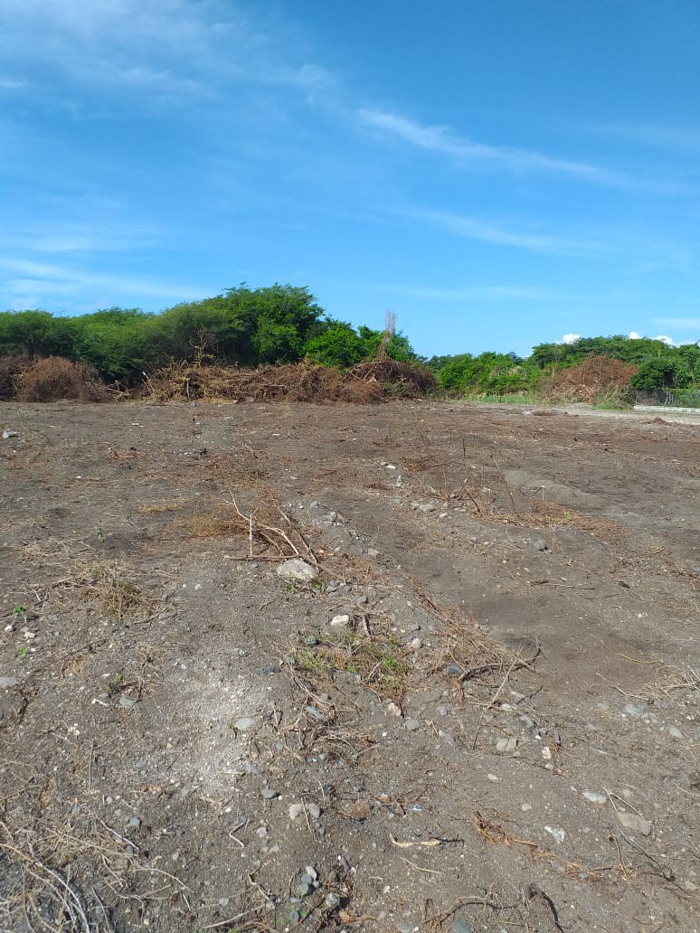 Residential lot For Sale in Albion Estate, St. Thomas Jamaica