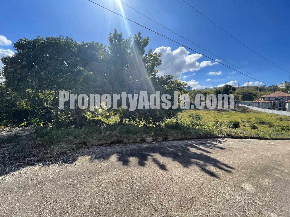 Residential lot For Sale in Cedar Grove, Manchester Jamaica
