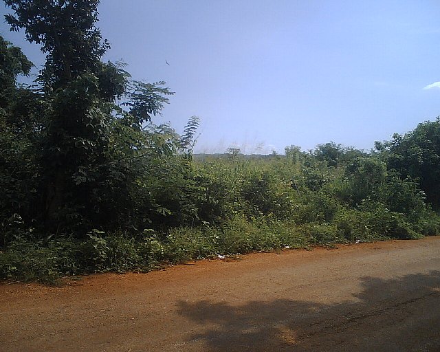 Residential lot For Sale in Kitson Town, St. Catherine Jamaica
