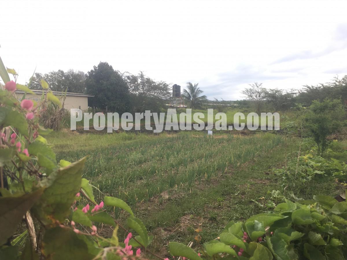 Commercial/farm land For Sale in Clarendon, Clarendon Jamaica