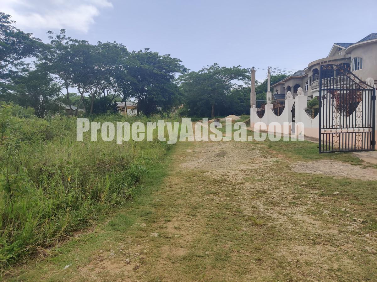 Residential lot For Sale in 232 Olive Park, St. Elizabeth Jamaica