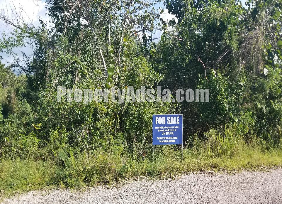 Residential lot For Sale in PAROTTEE, St. Elizabeth Jamaica