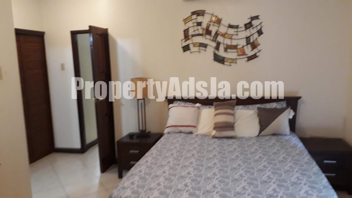Apartment For Rent in Kingston 6, Kingston / St. Andrew Jamaica