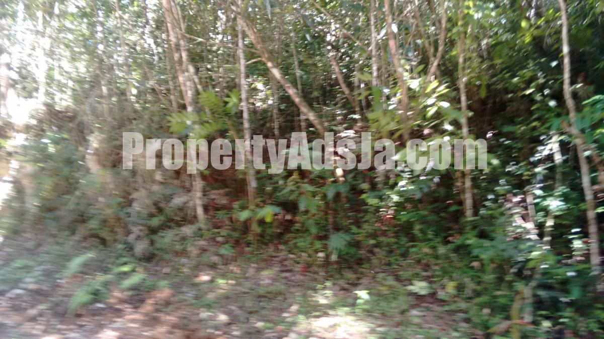 Residential lot For Sale in Windover, St. Catherine Jamaica