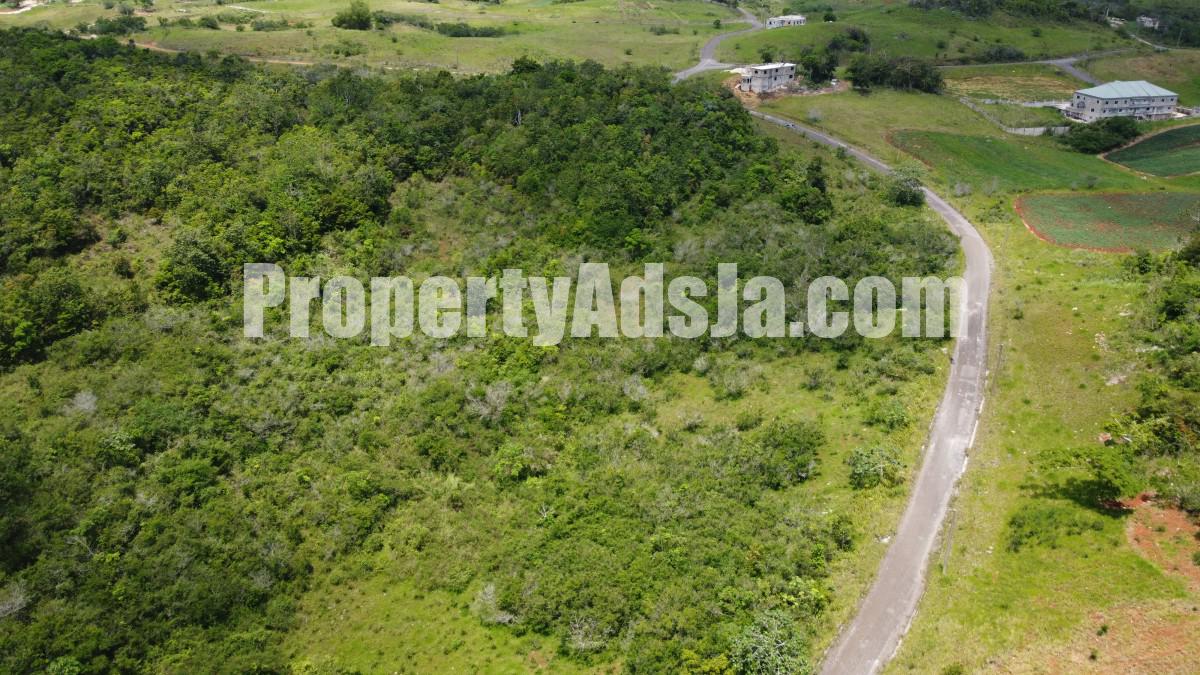 Land For Sale in New Wales, Manchester Jamaica