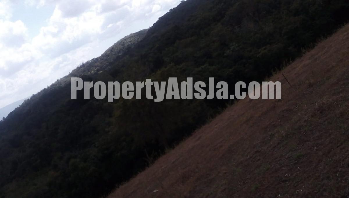 Residential lot For Sale in Malvern, St. Elizabeth Jamaica