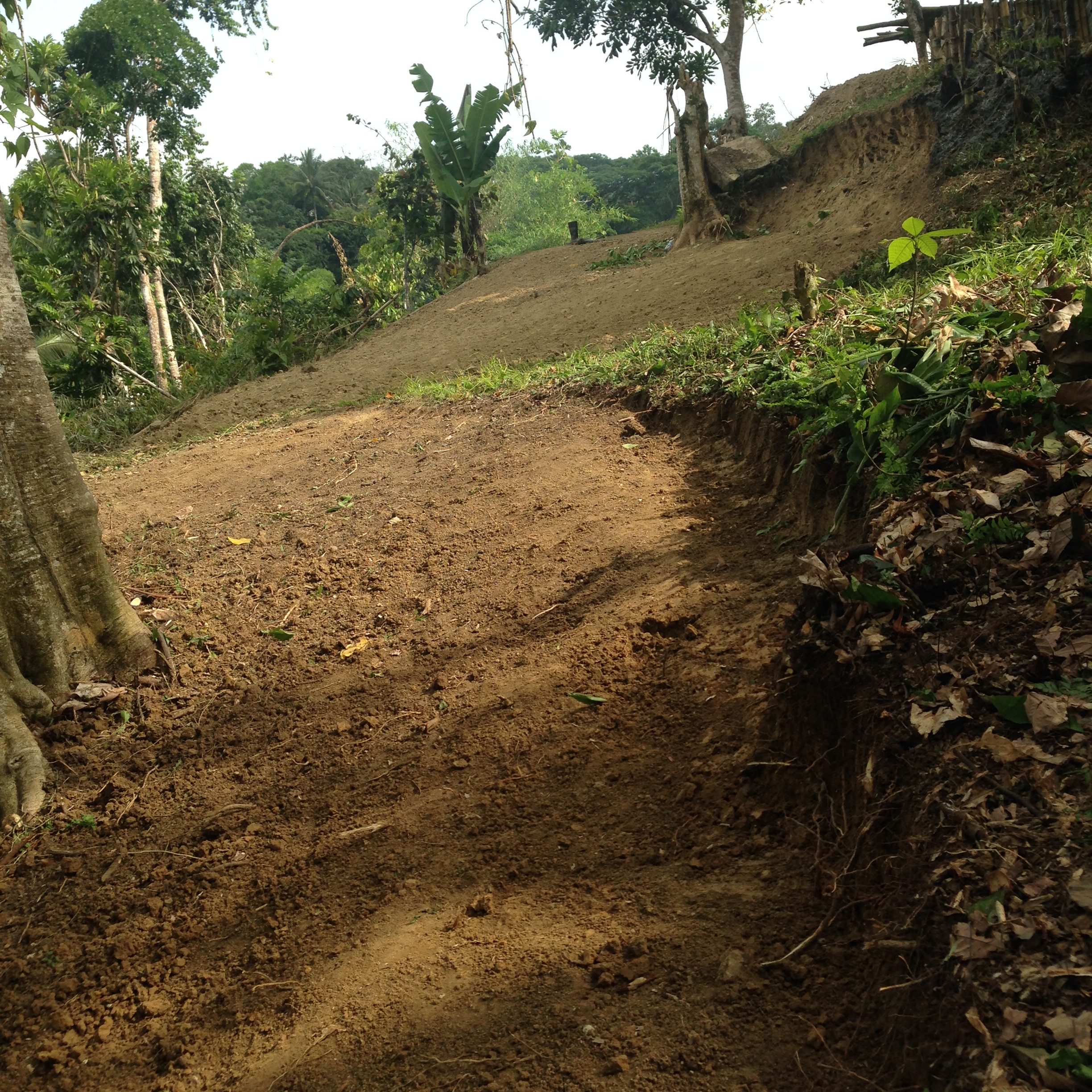 Commercial/farm land For Sale in Glengoffe, Kingston / St. Andrew