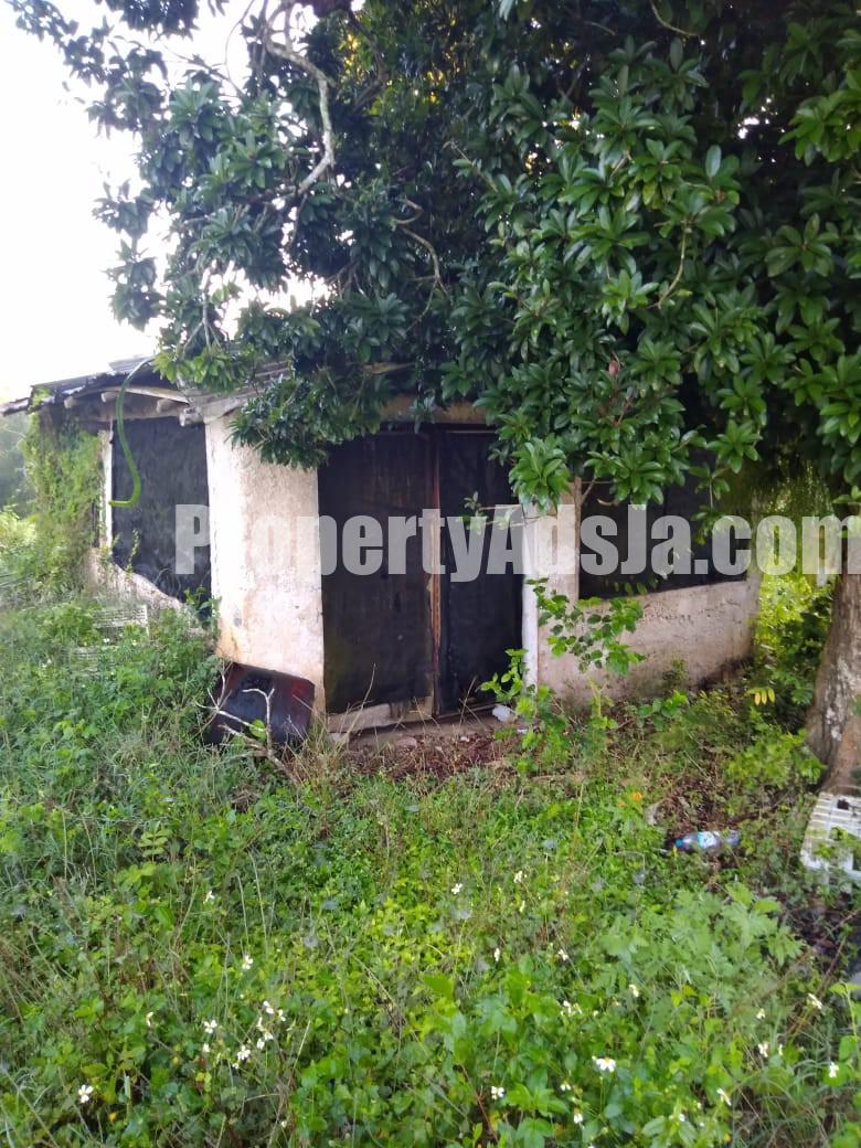 Commercial/farm land For Rent in Lydford St Ann, St. Ann Jamaica