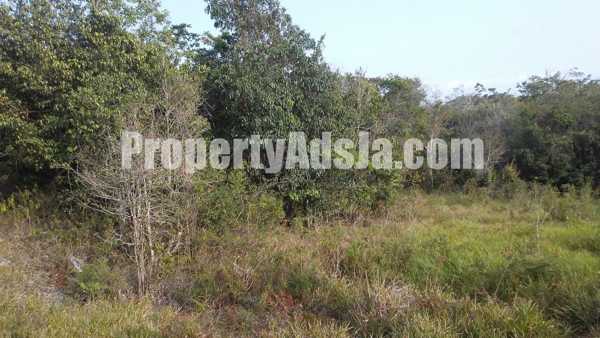 Residential lot For Sale in Longsyne Cross Keys, Manchester Jamaica