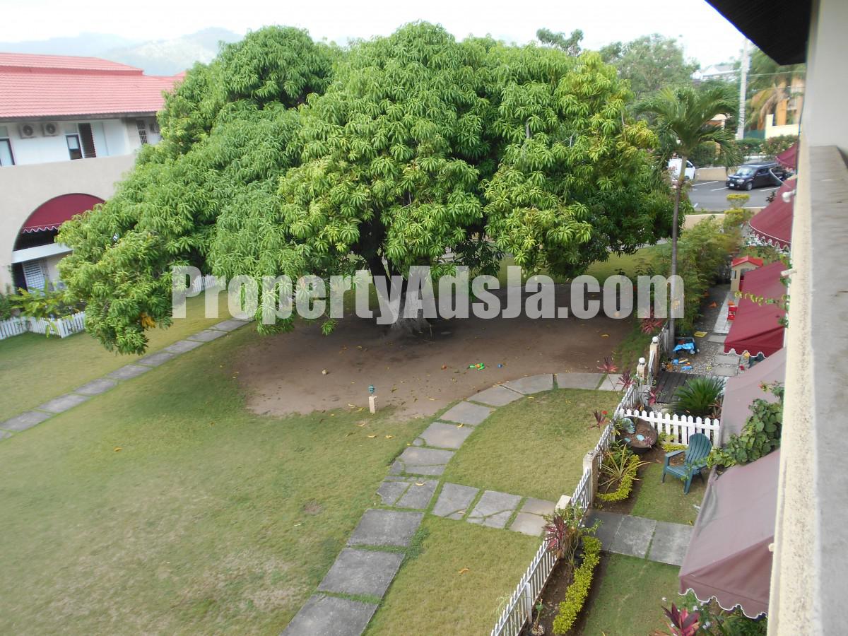 Apartment For Sale in Kingston 6, Kingston / St. Andrew Jamaica