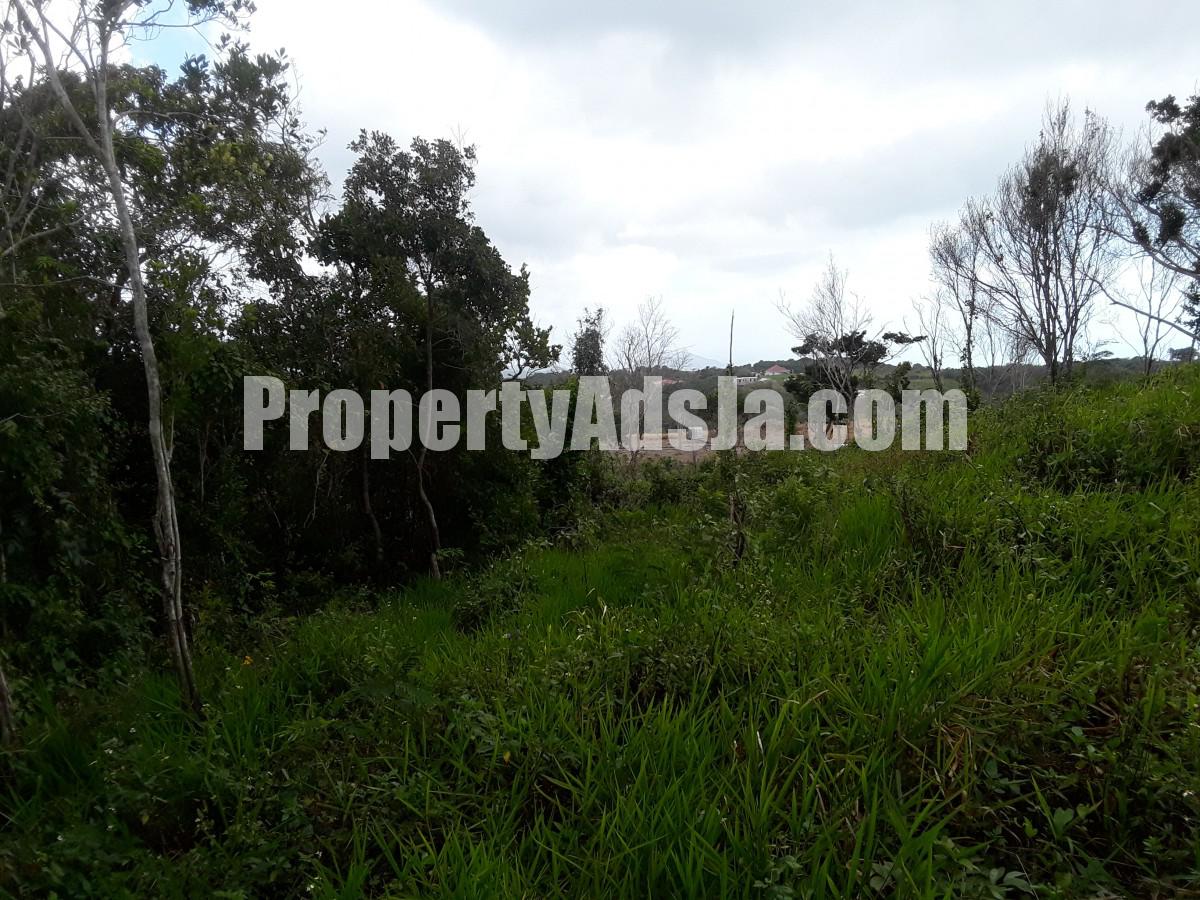Residential lot For Sale in Cross Keys Manchester, Manchester Jamaica