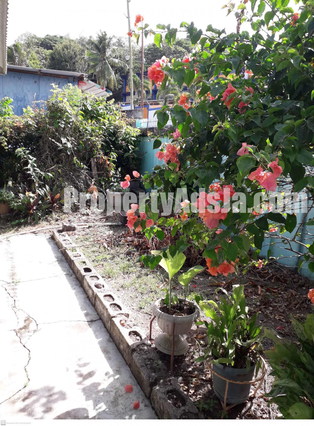 House For Sale in Richmond, St. Mary Jamaica