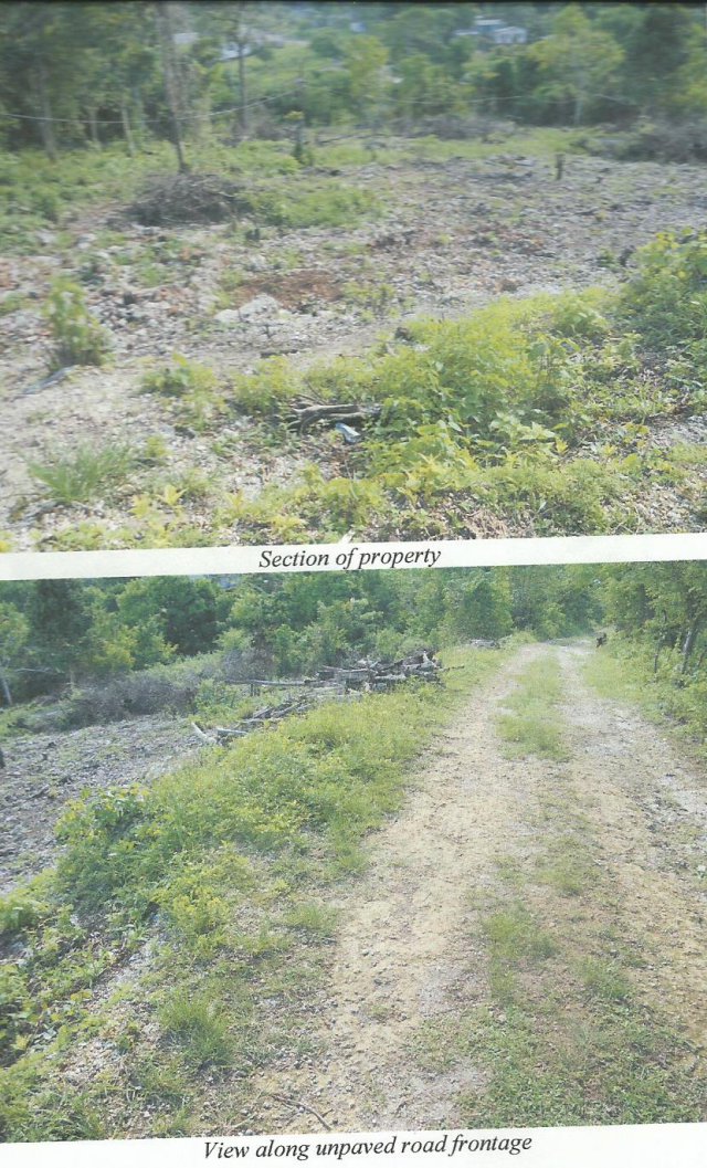Residential lot For Sale in Mango Valley, St. Mary Jamaica