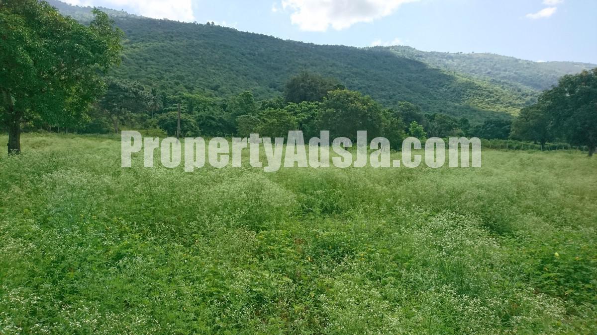 Residential lot For Sale in Orange Grove, St. Elizabeth Jamaica