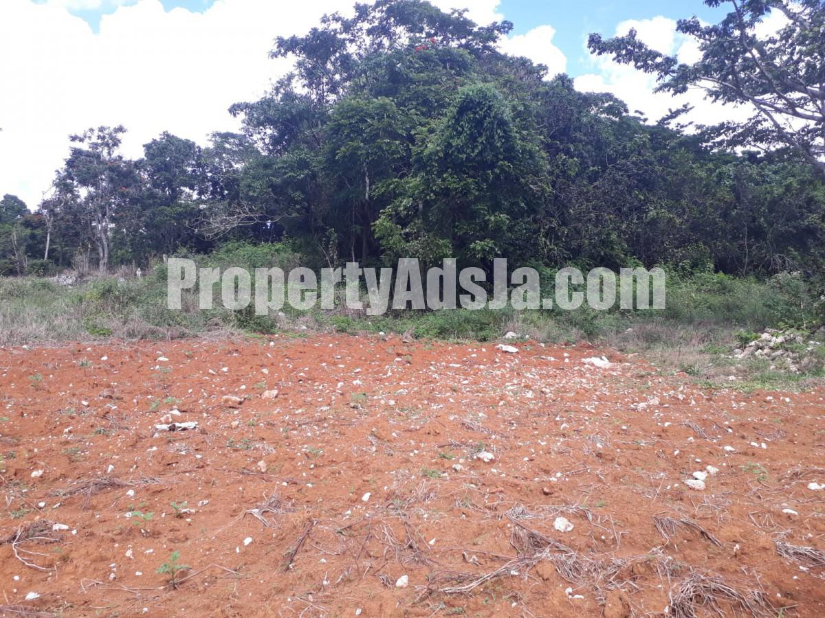 Land For Sale in Christiana, Manchester Jamaica