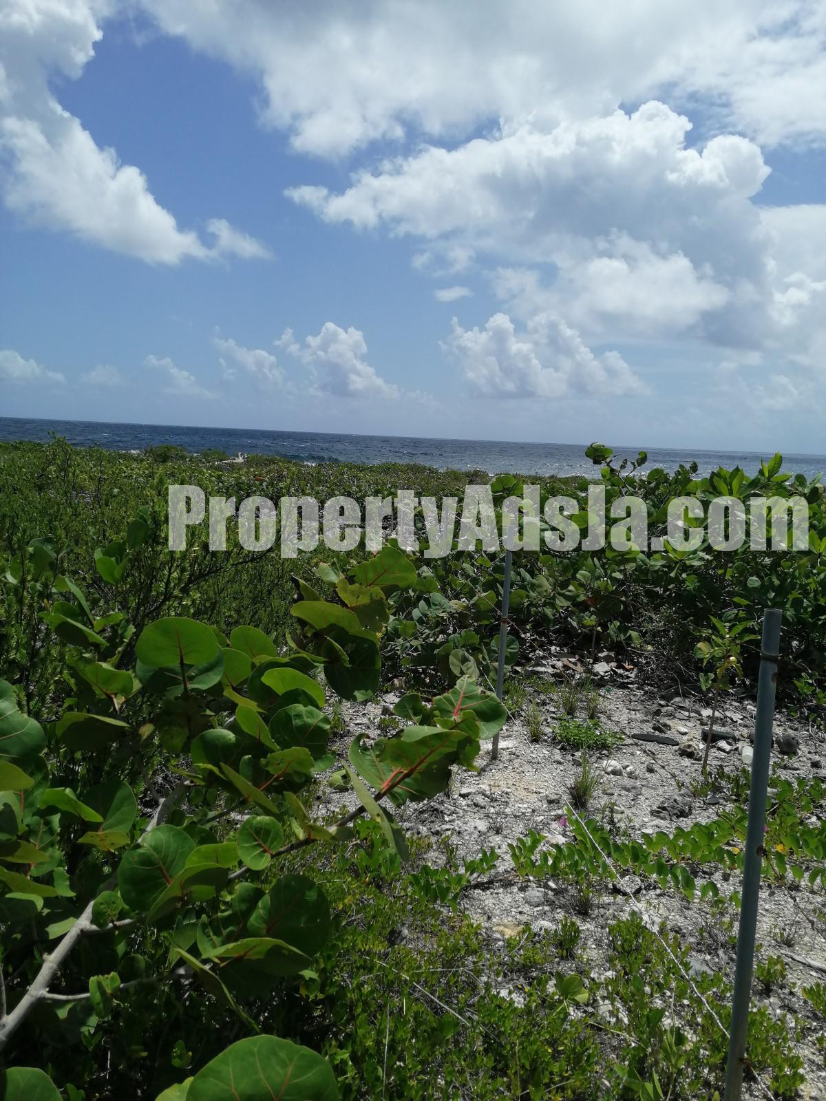 Residential lot For Sale in Galina, St. Mary Jamaica