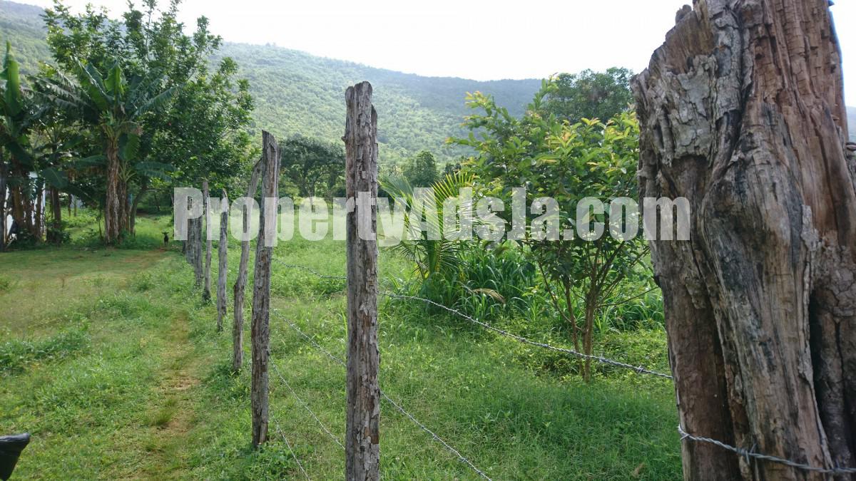 Residential lot For Sale in Orange Grove, St. Elizabeth Jamaica
