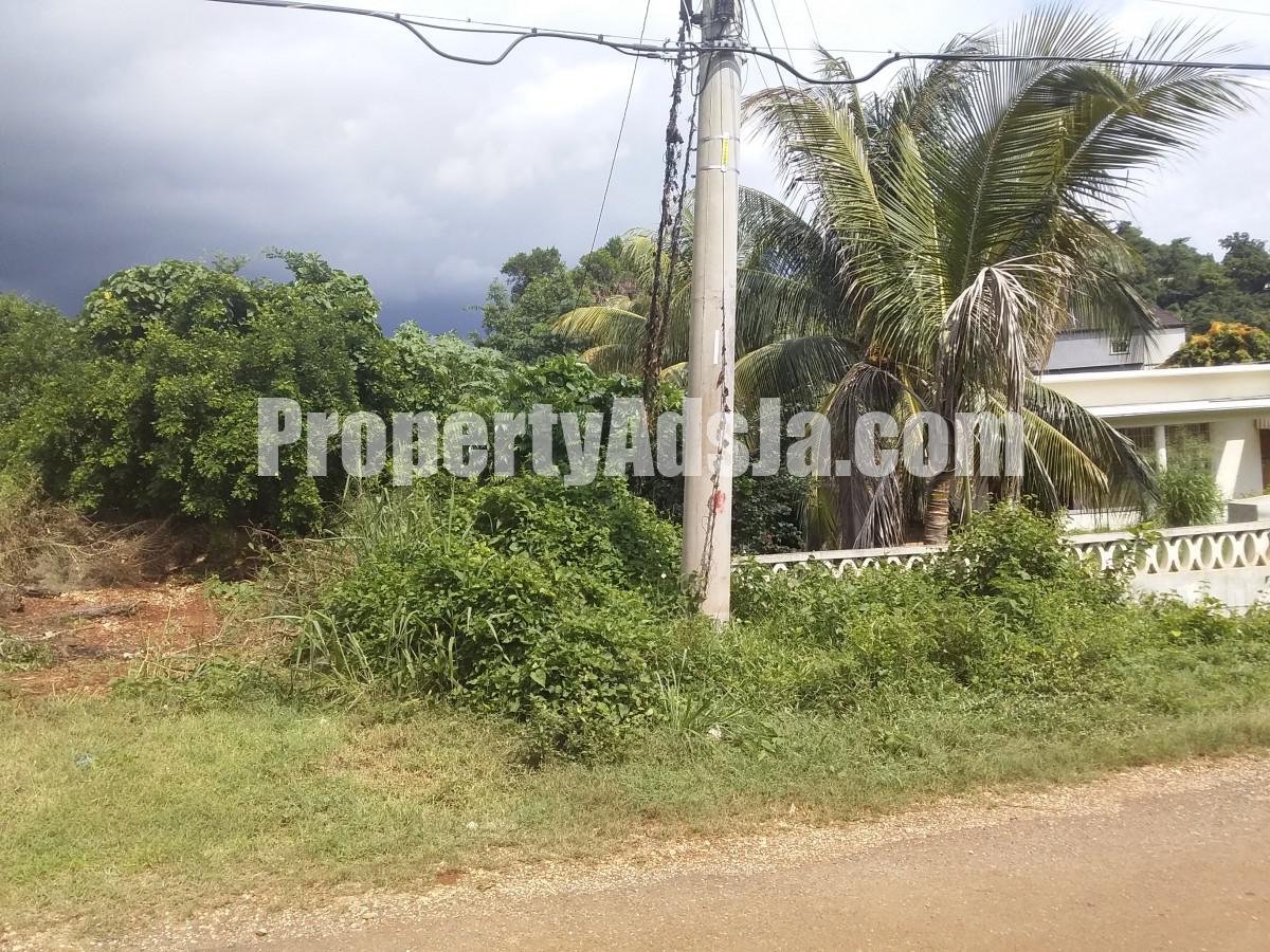 Commercial/farm land For Sale in Forrest Hills, Kingston / St. Andrew