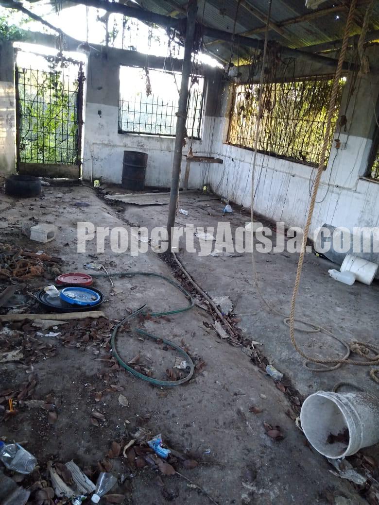 Commercial/farm land For Rent in Lydford St Ann, St. Ann Jamaica