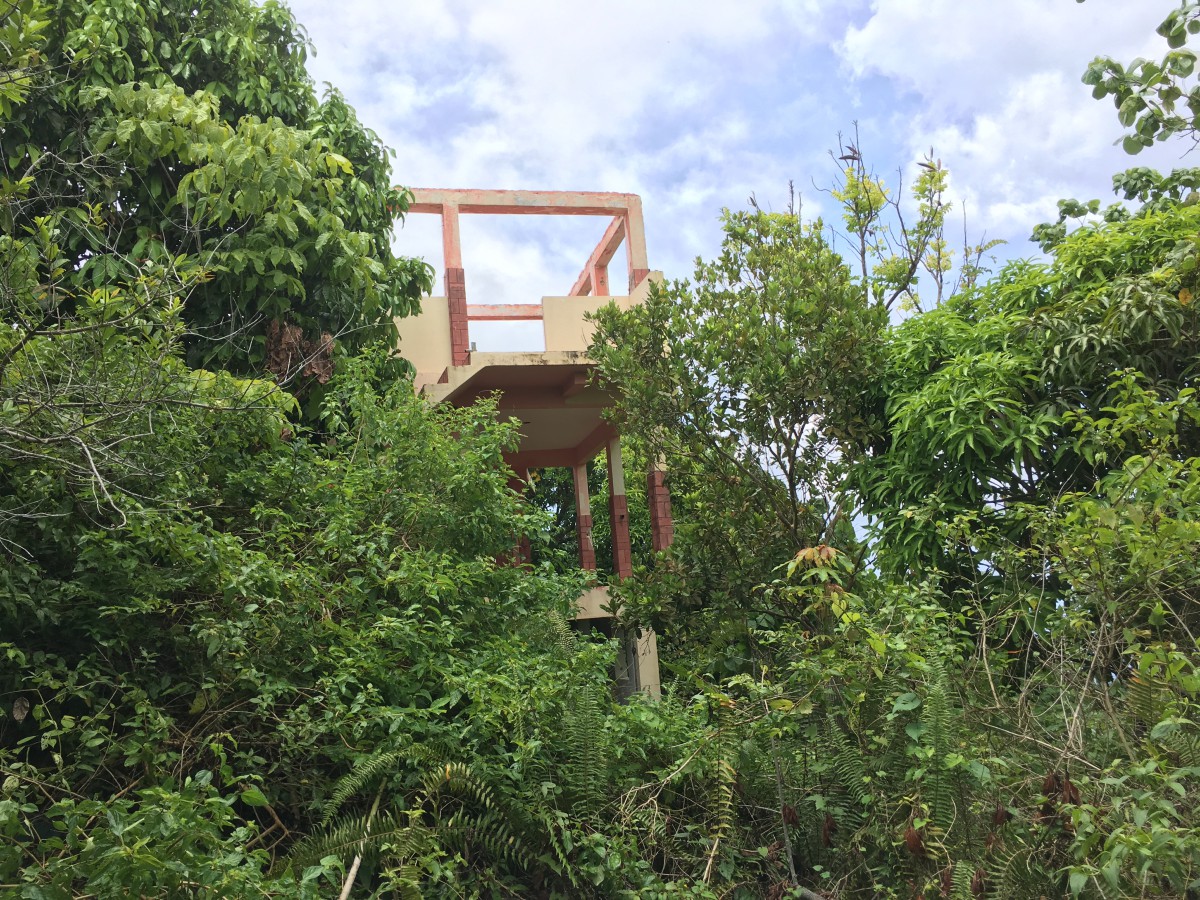 Residential lot For Sale in Sandy Bay, Hanover Jamaica