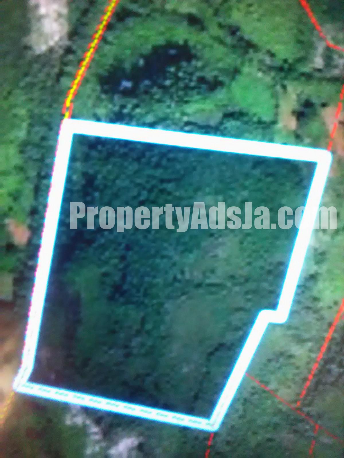 Commercial/farm land For Sale in Rural Retreat, St. Ann Jamaica