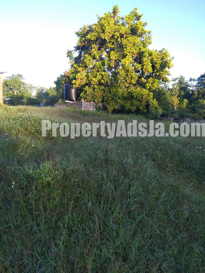 Commercial/farm land For Rent in Lydford St Ann, St. Ann Jamaica