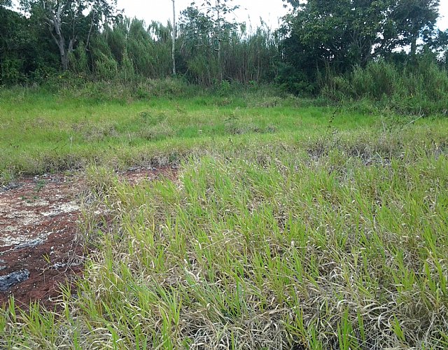 Residential lot For Sale in New Wales, Manchester Jamaica