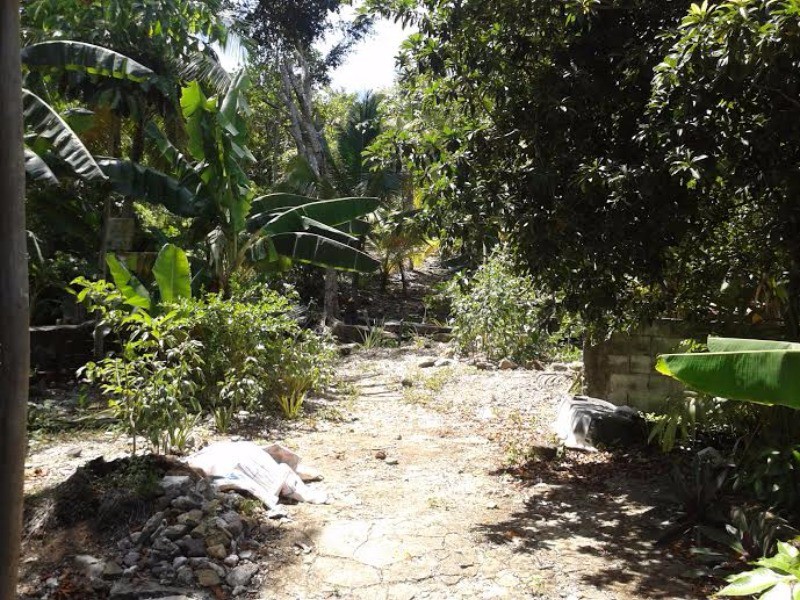 Commercial/farm land For Sale in Highgate, St. Mary Jamaica