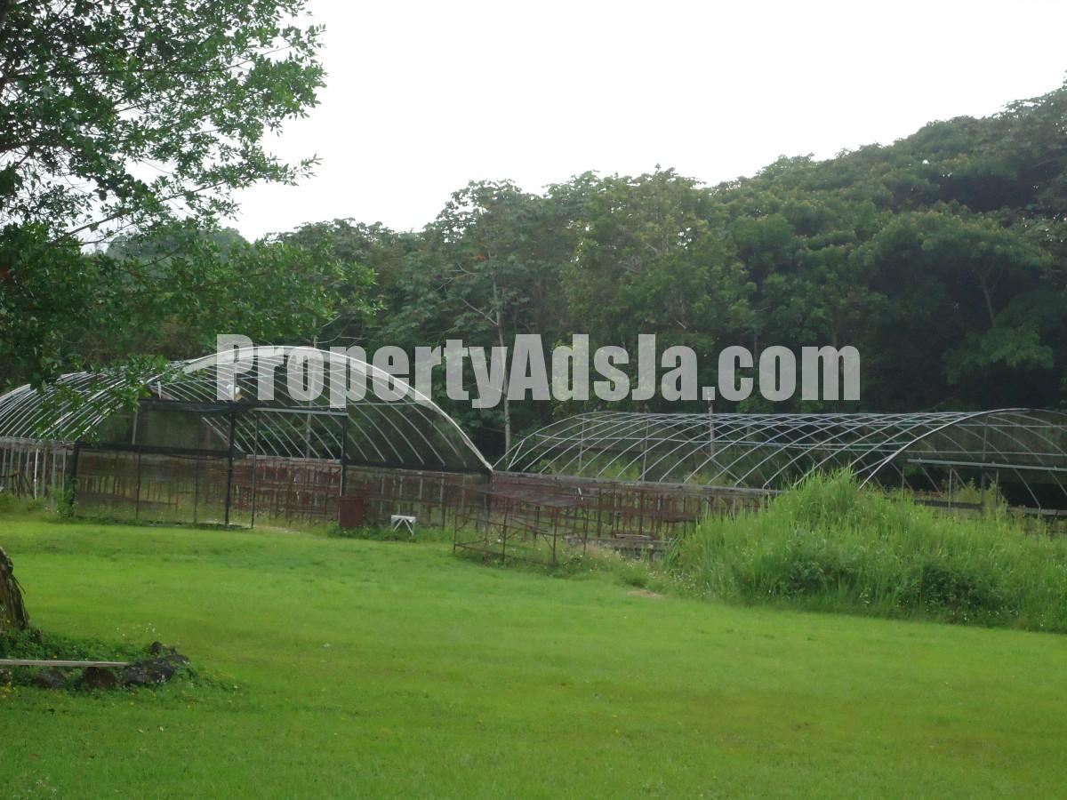 Commercial building For Sale in DARLISTON, Westmoreland Jamaica