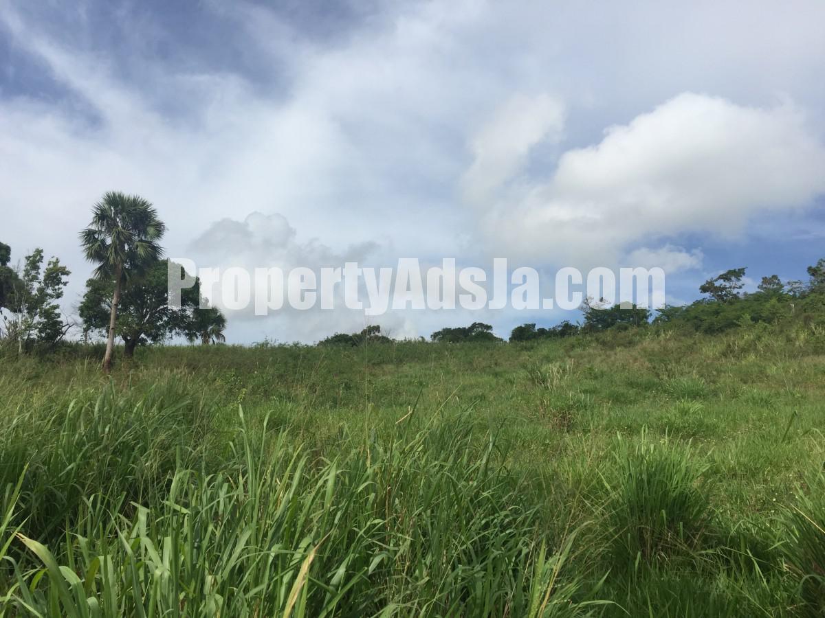 Residential lot For Sale in Southfield, St. Elizabeth Jamaica