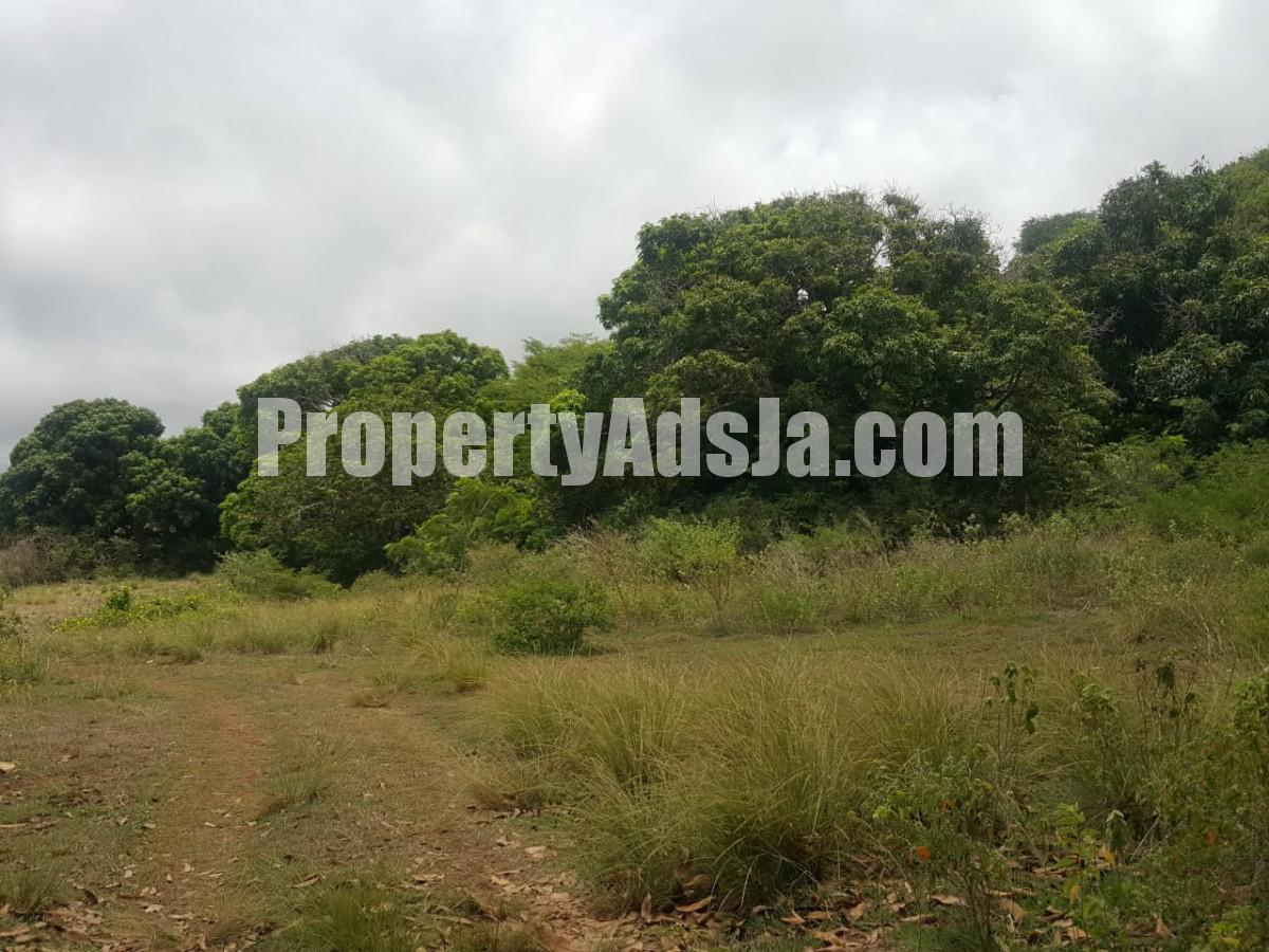 Residential lot For Sale in St Elizabeth, St. Elizabeth Jamaica