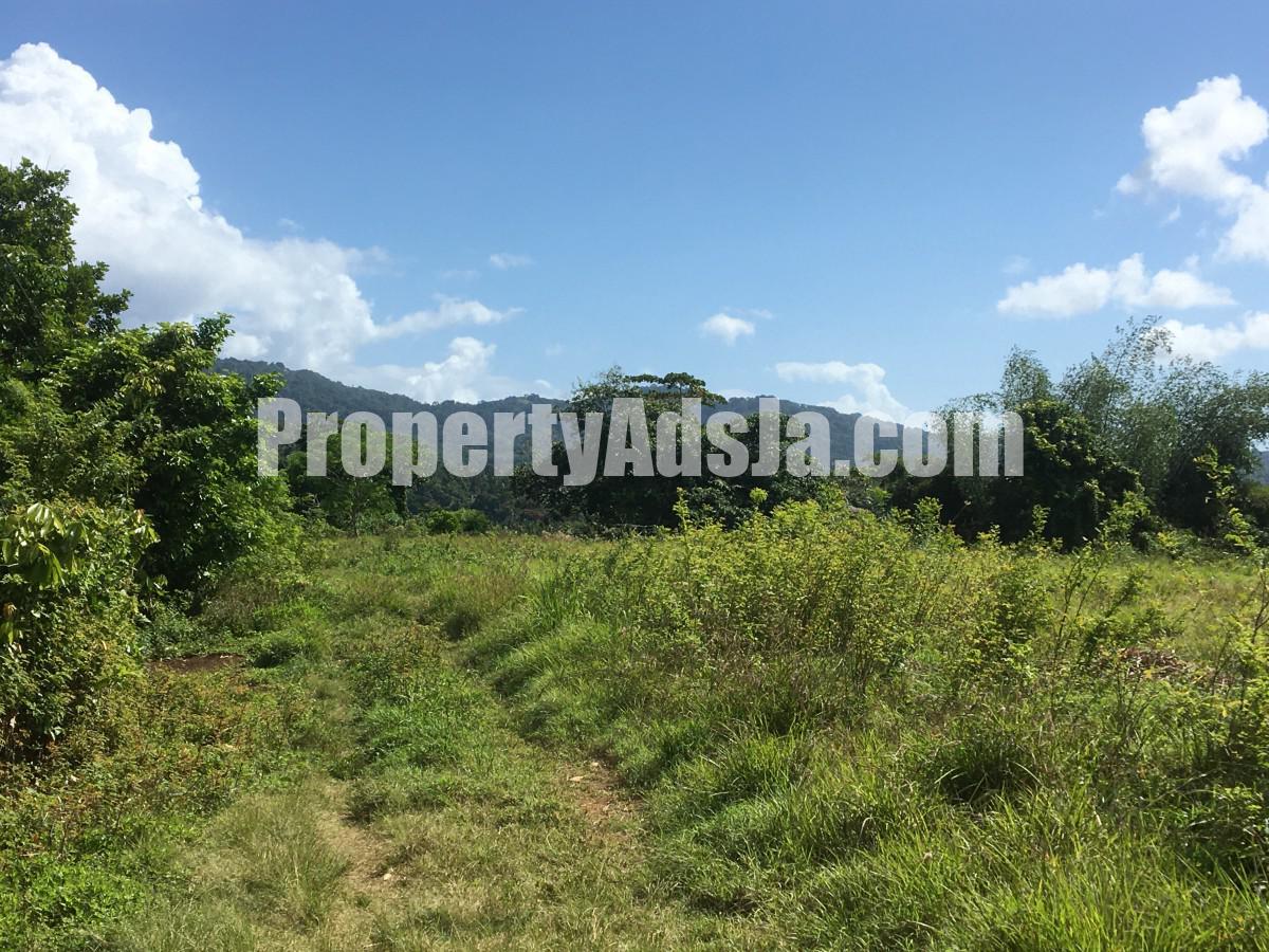 Commercial/farm land For Sale in Port Maria, St. Mary Jamaica