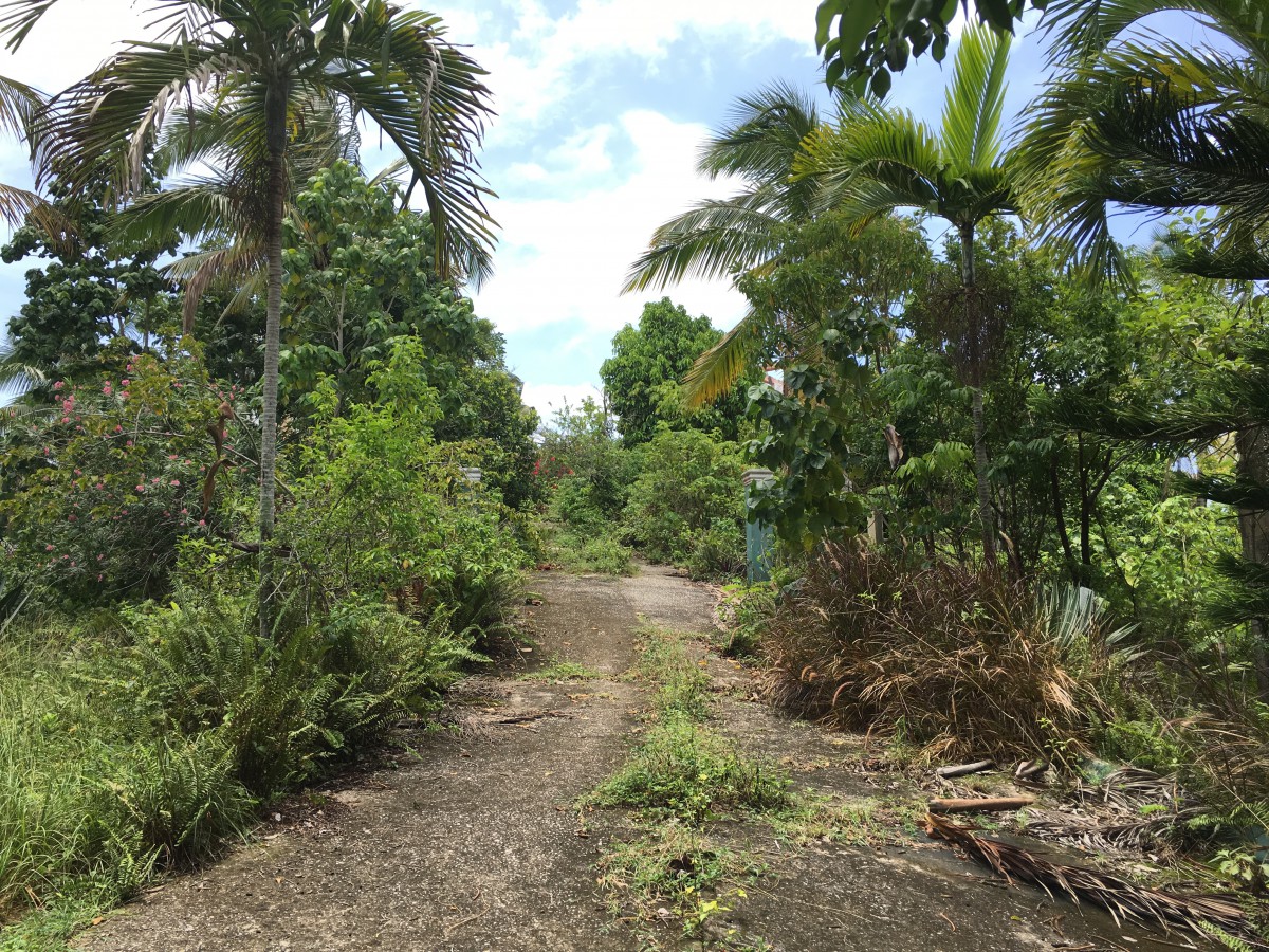 Residential lot For Sale in Sandy Bay, Hanover Jamaica