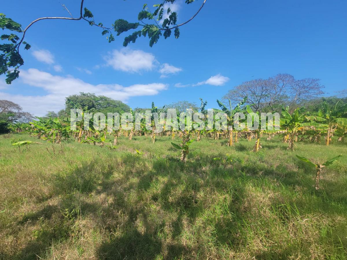 Commercial/farm land For Sale in Old Harbour, St. Catherine Jamaica