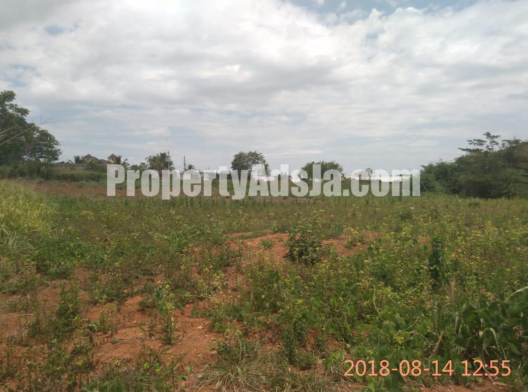 Commercial/farm land For Sale in May Pen, Clarendon Jamaica