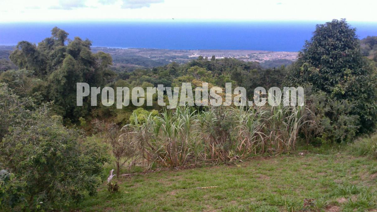 Residential lot For Sale in Bamboo, St. Ann Jamaica
