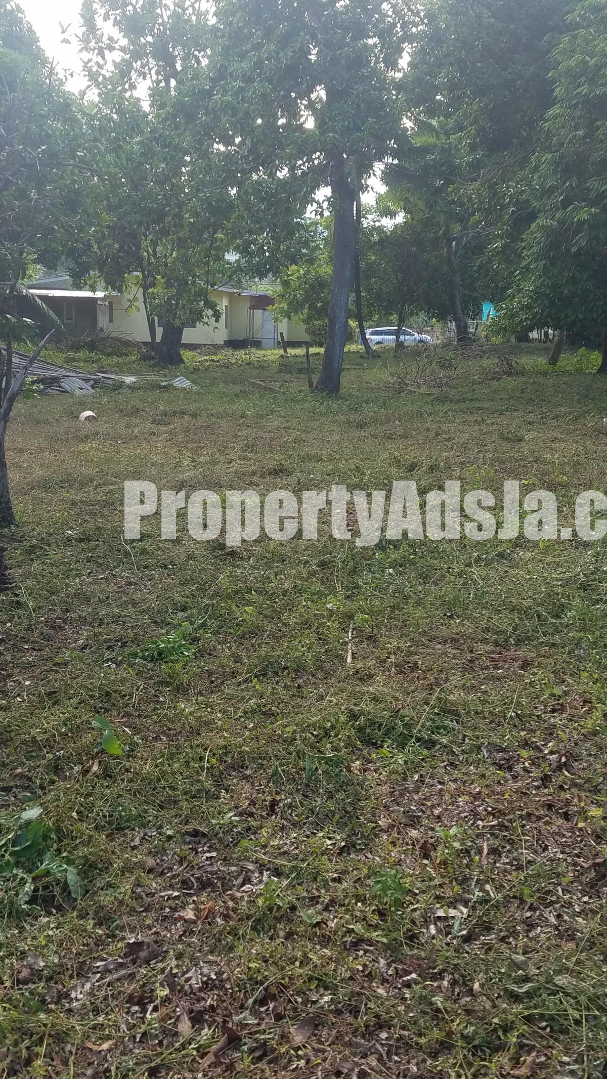 House For Sale in Great Pond, St. Ann Jamaica