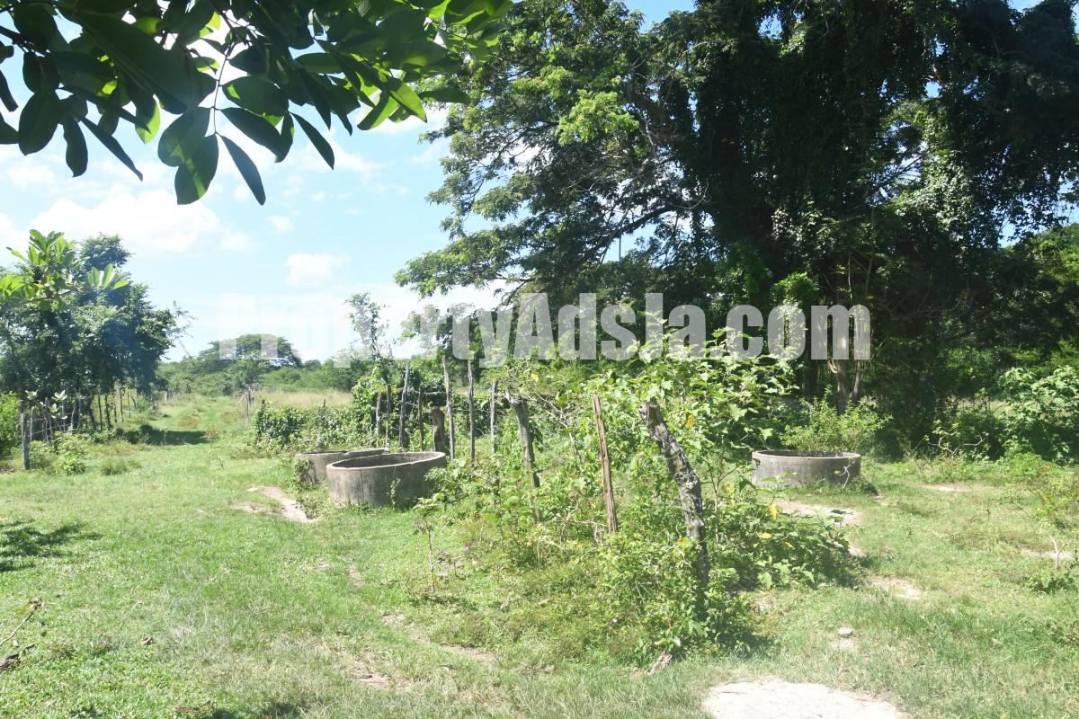 Commercial/farm land For Rent in Black River, St. Elizabeth Jamaica
