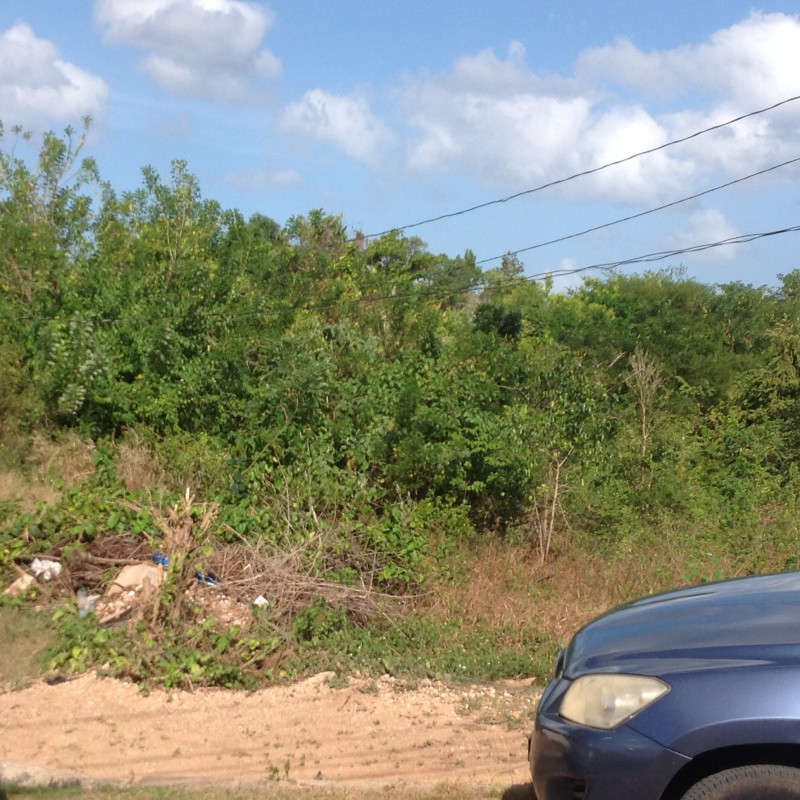 Residential lot For Sale in Whitehall, Westmoreland Jamaica