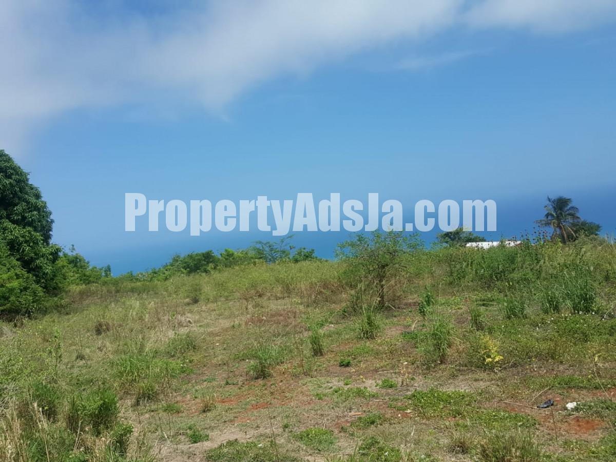 Residential lot For Sale in St Elizabeth, St. Elizabeth Jamaica