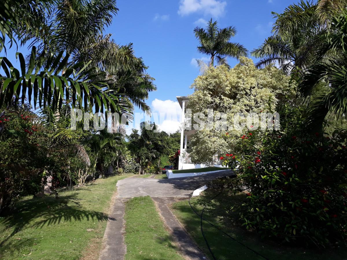 For Sale in Green Island, Hanover Jamaica
