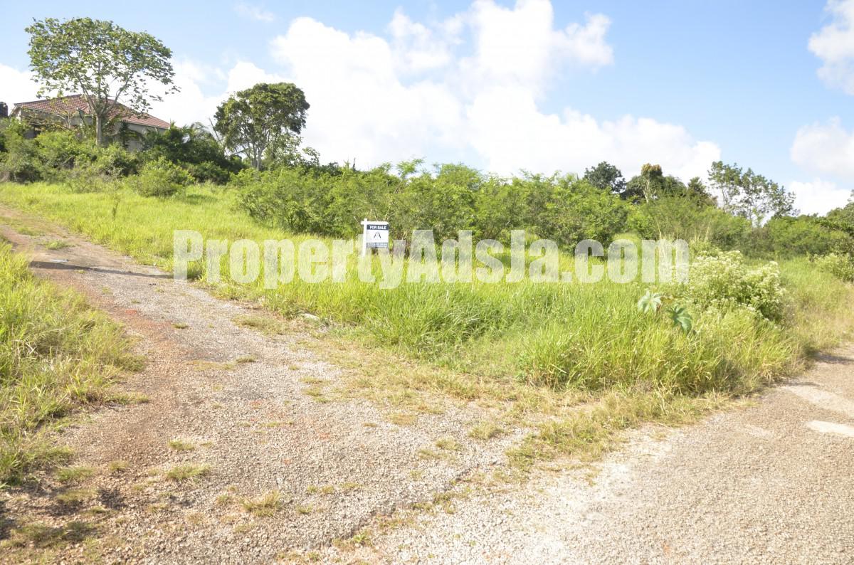Residential lot For Sale in Mandeville, Manchester Jamaica
