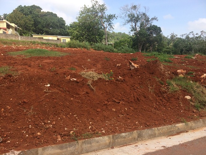 Residential lot For Sale in Mandeville, Manchester Jamaica