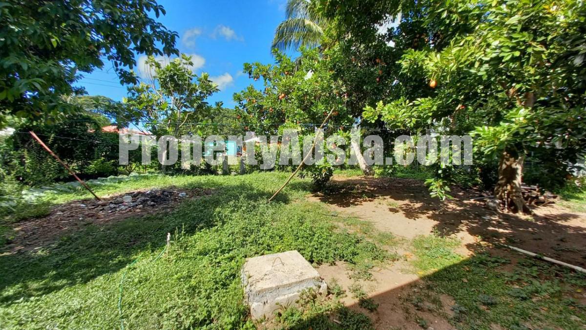 House For Rent in Ashley Hall Housing Scheme, Clarendon Jamaica