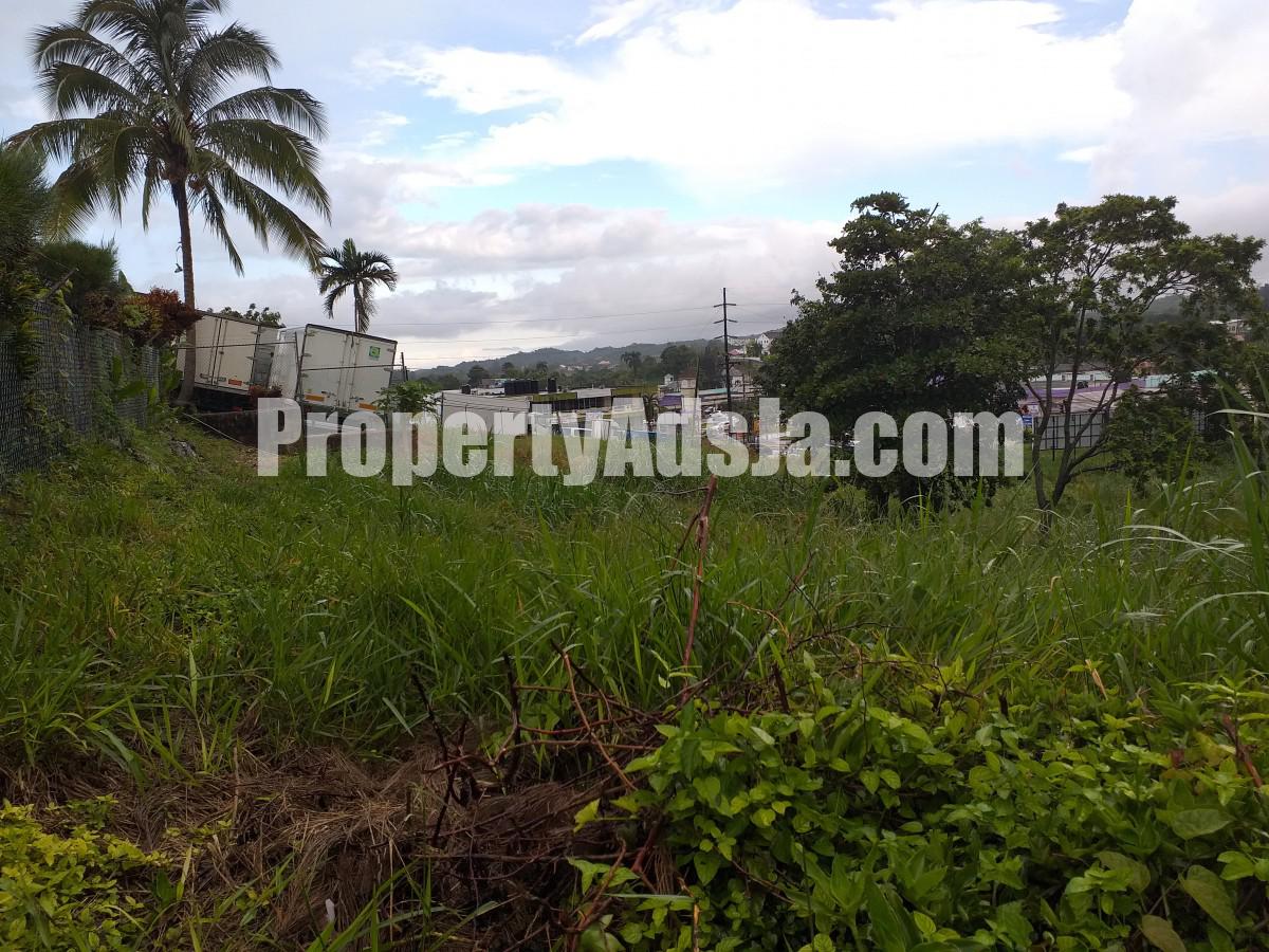 Commercial land For Sale in Mandeville, Manchester Jamaica