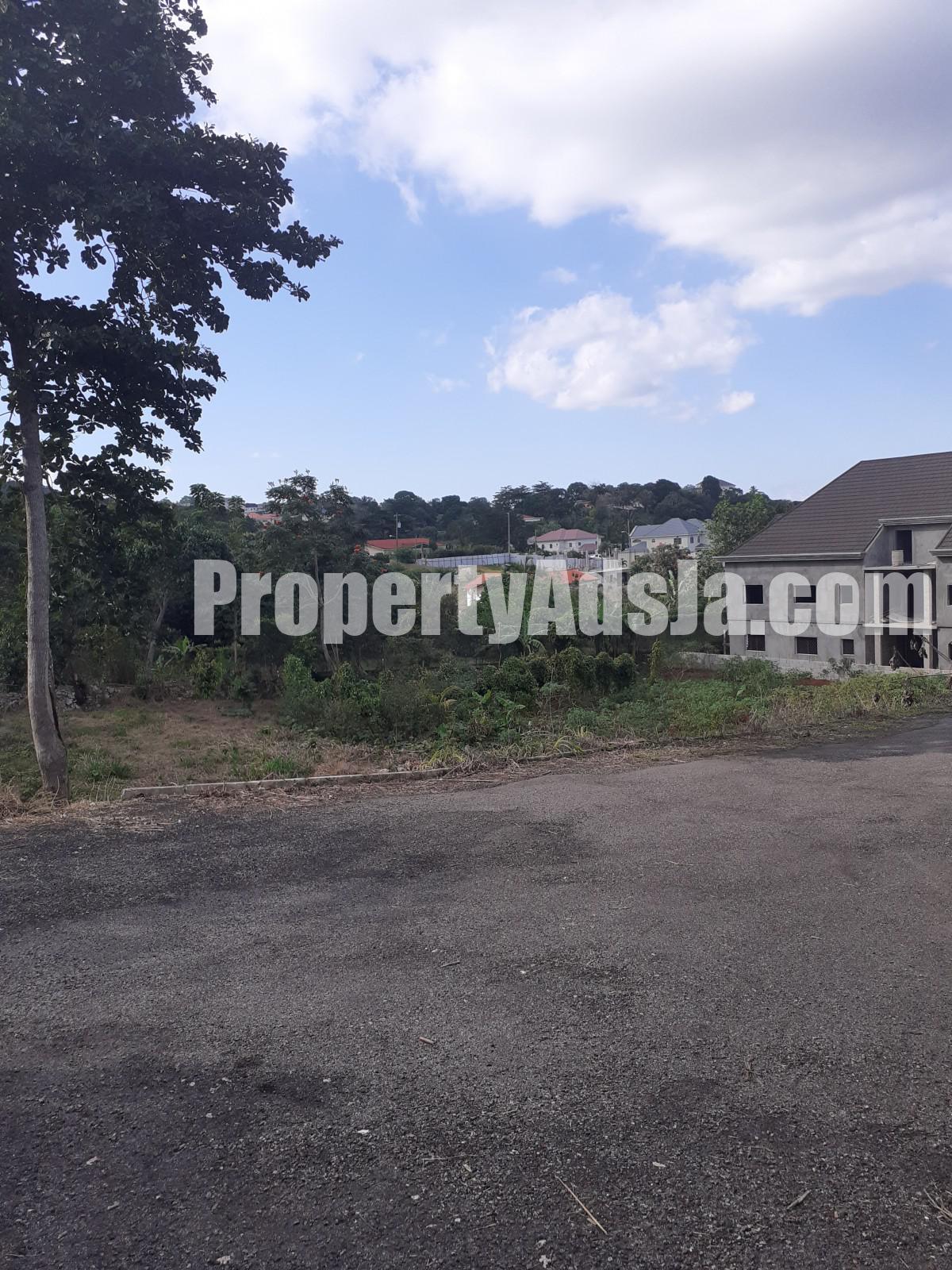 Residential lot For Sale in Mandeville, Manchester Jamaica